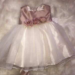 Beautiful Baby Flower Dress